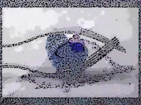 نادر حمدى سيبها بظروفها 