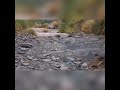 Qatra Qatra Balochi Nice Song 