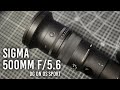 Sigma 500mm f/5.6: An Easily Handheld Super Telephoto Lens!