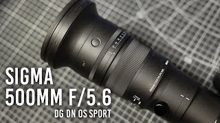 Sigma 500mm f\/5.6: An Easily Handheld Super Telephoto Lens!
