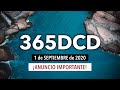 🙏365DCD - 1 Septiembre 2020 - Devocional