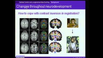 An Optimal Control Viewpoint to Fluid Registration