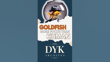 Your Attention Span Is Now Shorter Than a Goldfish 🐠 🧠📱