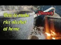 Making rice alcohol at home/How to make alcohol