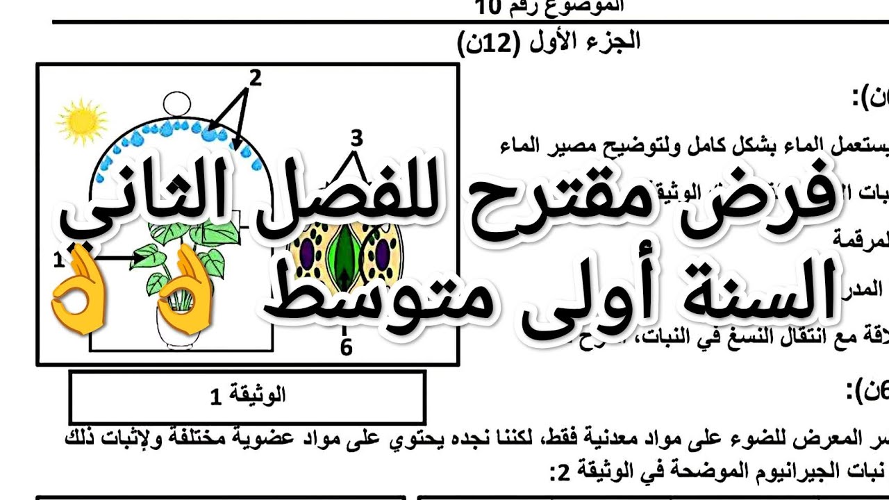 #فرض مقترح للفصل الثاني #السنة أولى متوسط #تحضيرا للفرض 👌👌👌