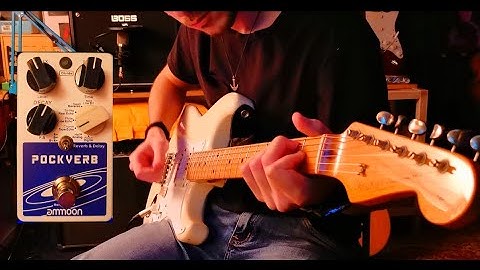 Ammoon Pockverb - Review for Gilmour and Pink Floyd sound