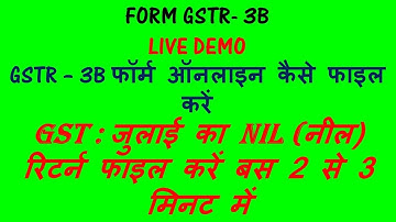 GSTR 3B LIVE DEMO, HOW TO FILE GST NIL RETURN FOR JULY, GST RETURN FOR JULY AND AUGUST