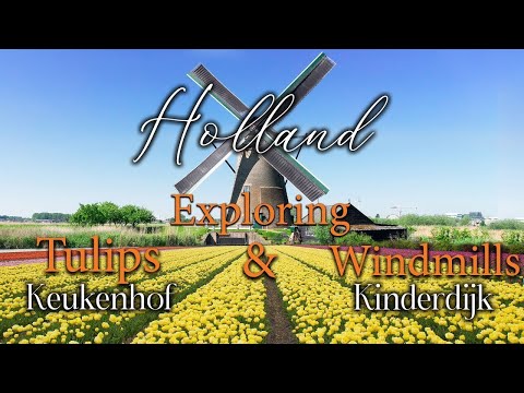 Video: Tulpanernas land - Nederländerna. Land av tulpaner i Europa