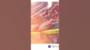 loading conveyor 99445 54409