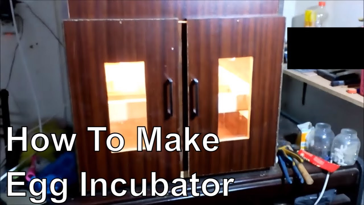 Egg Incubator Cabinet Plans DIY Chicken Poultry Hatcher Homemade Build Your Own 