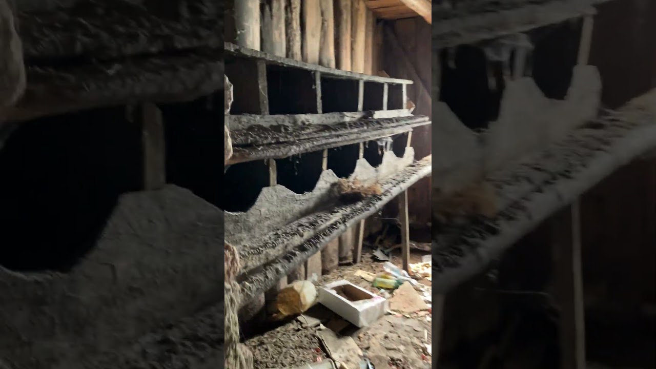 Исследую деревенский сарай🙄