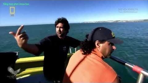 KHÁM PHÁ | Loài Quái Vật Cổ Đại Có Khả Năng Giết Cả Siêu Cá Mập MEGALODON