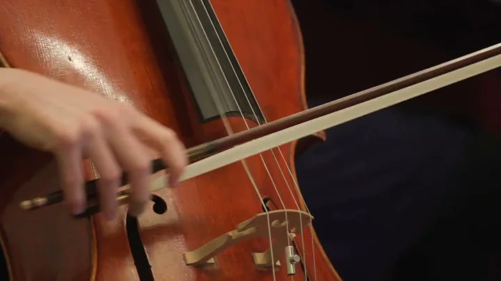 Annie Jacobs Perkins plays Fanny Mendelssohn