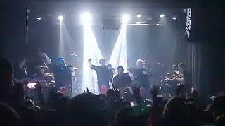 Red Hot Chilli Pipers   live at Cyprus Avenue, Cork 2023 1