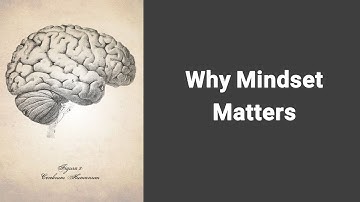 Why Mindset Matters | Metacognition and Mindset | USSV Lessons