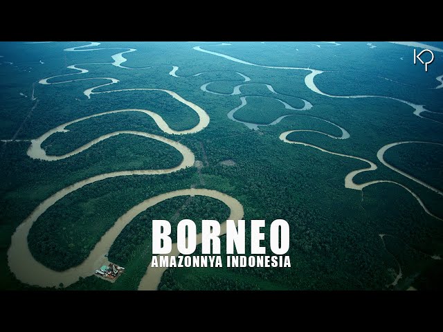 Borneo: Pulau Terbesar Ketiga Dunia, Amazonnya Indonesia class=