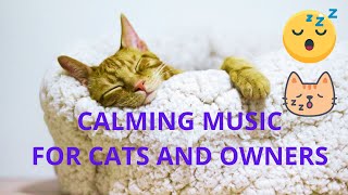 Meditation for Stressed Cats and Owners ‍♂‍♀‍♂‍♀DEEP SLEEP, MAGICAL AFFIRMATIONS.