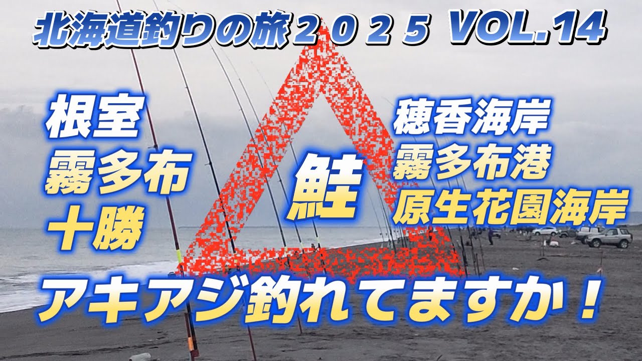 続アキアジ釣り（現地釣果状況）・根室～十勝（根室穂香海岸、霧多布港・豊北原生花園海岸）「キャンピングカー車中泊で北海道～沖縄日本全国釣りの旅」