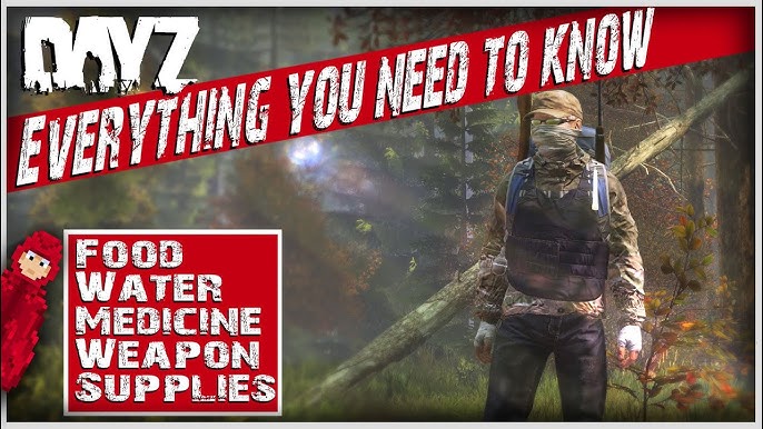 DayZ 🖥 🎮 ❤️ on X: Hi Survivors, June is a great month for hiking! But if  you don´t have any trails nearby, you can always take some nice walks in  DayZ.🚶‍♀️🚶🚶‍♂️