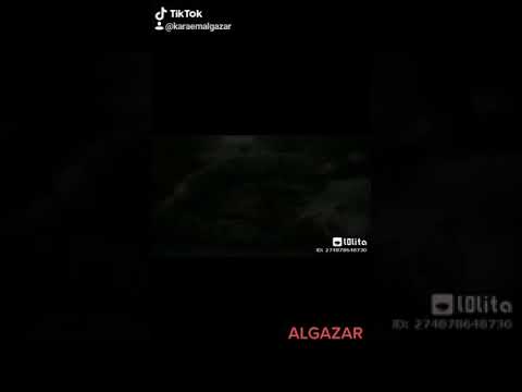 مهرجان الجوكر