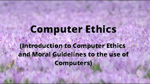 Computer Ethics (Introduction to Computer Ethics, Moral Guidelines to the use of Computers)