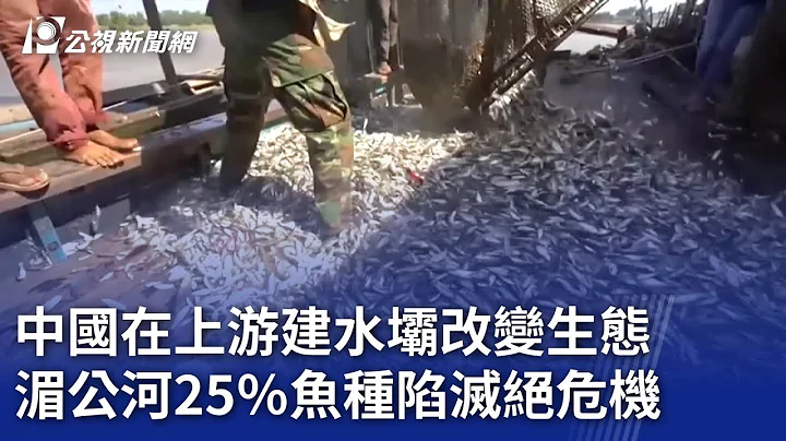 中国在上游建水坝改变生态 湄公河25％鱼种陷灭绝危机｜20240304 公视晚间新闻 - 天天要闻