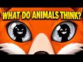 What Do Animals Actually Think About Humans?