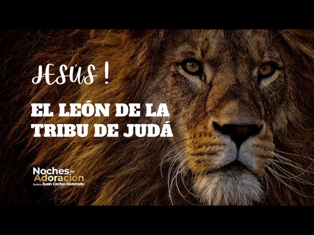 El león de la tribu de Judá - YouTube
