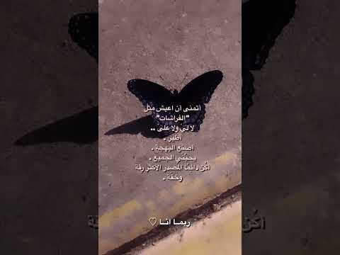 اتمنى ان اعيش مثل الفراشات