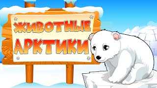 ПОЛЯРНЫЕ ЖИВОТНЫЕ для ДЕТЕЙ! Развивающее видео.