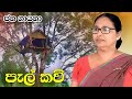 පැල් කවි | pal kavi