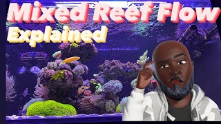 CRAZY Mixed Reef Water Flow  Tank Update | Ep.32