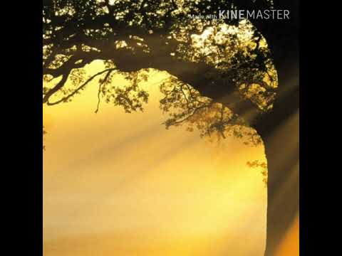 Abaate Gammachu Na Jalaa Didde Hin Beektu