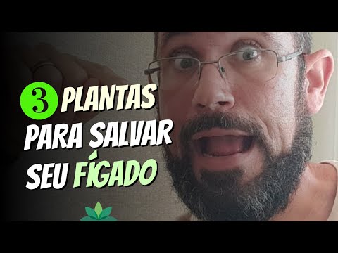 3 Plantas INCRÍVEIS para Salvar Seu Figado!!