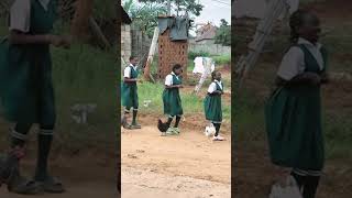 The Ugandan Chicken Dance 2025   Fun African Dance Challenge fact short viralshort