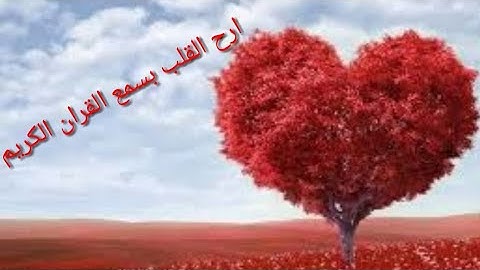 ارح قلبك الان قران كريم بصوت فارس عباد حالات واتس آب