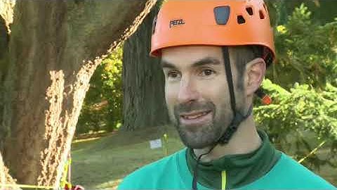 Headway Upper-Intermediate 5th Edition I Unit 8 Great Tree Adventures |