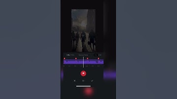 Как смонтировать динамичный ролик в VN