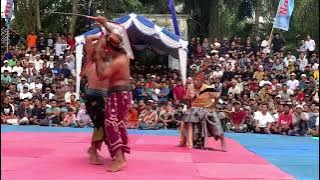 Pertarungan seru DEMUNG WIRE vs WAYAH EMET || peresean gerung