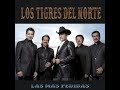 Los Tigres Del Norte • La Puerta Negra (Audio)