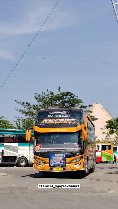 Nada Chicken Dance 🔥 | Po New Sahara Trans 