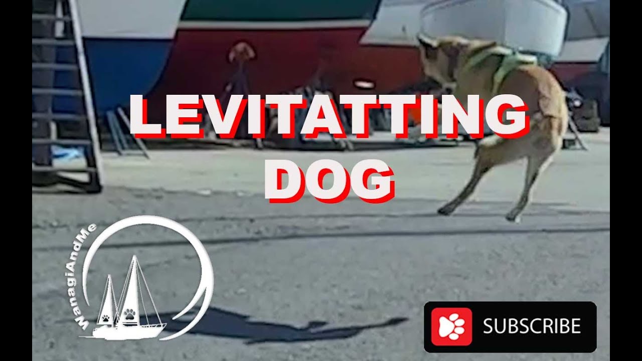 SailBoat Refit Quick Check Up  + Wanagi Levitates | Sailing WanagiAndMe