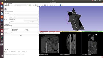 How to use 3D Slicer to crop DICOM file