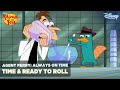 Agent perry always on time  ready to roll  phineas and ferb  disney india