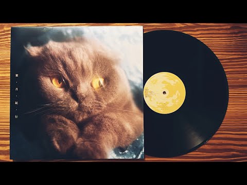 猫戦 レコード　蜜・月・紀・行(LP) Amazon.co.jp: 猫戦 蜜 月 紀 行 アナログ LP レコード : おもちゃ