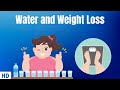Water &amp; Weight Loss: Everything You Need To Know