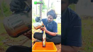 Manoj Kumar - Trichy - Burrow Honey