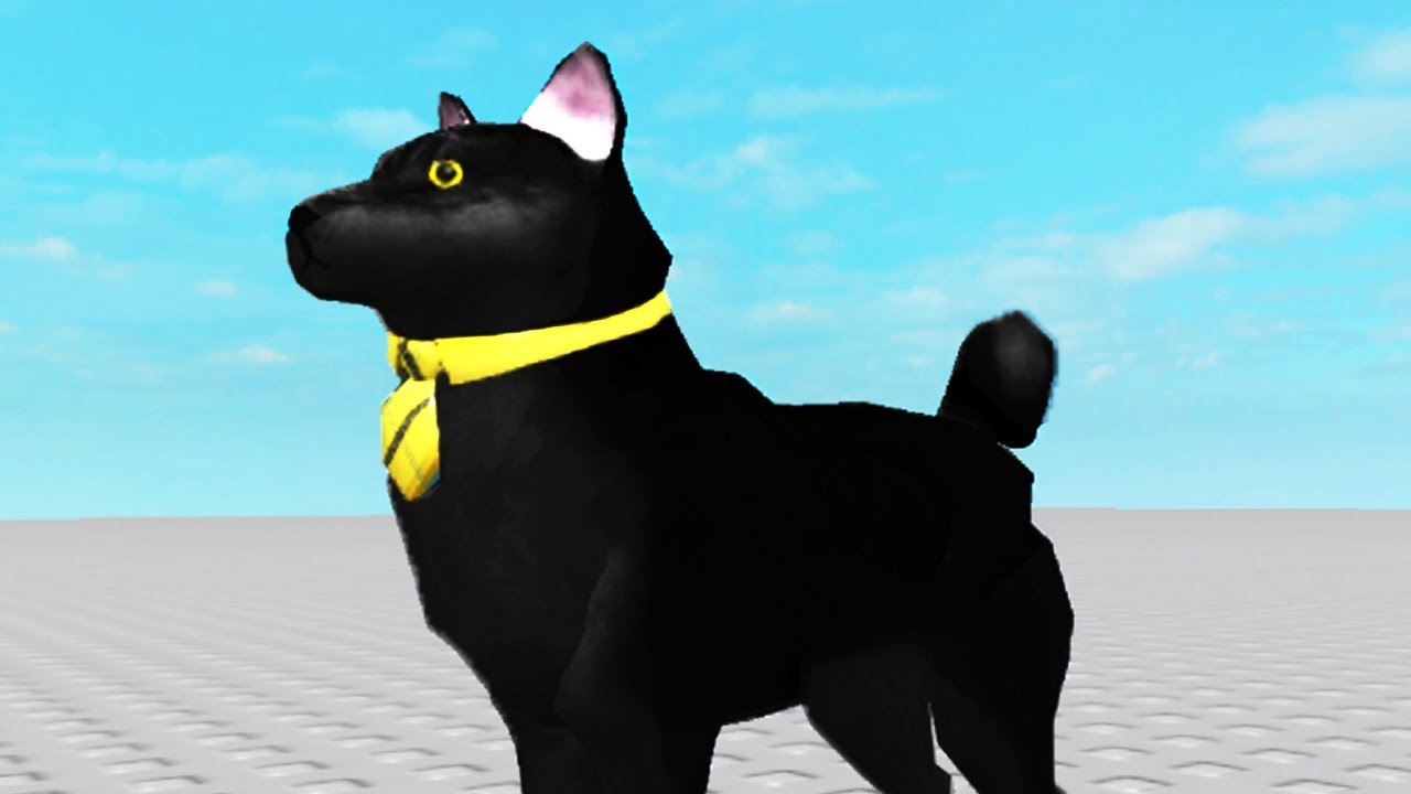 Sir Meows A Lot Becomes A Dog Youtube - sir meows a lot becomes a roblox god roblox movie sir
