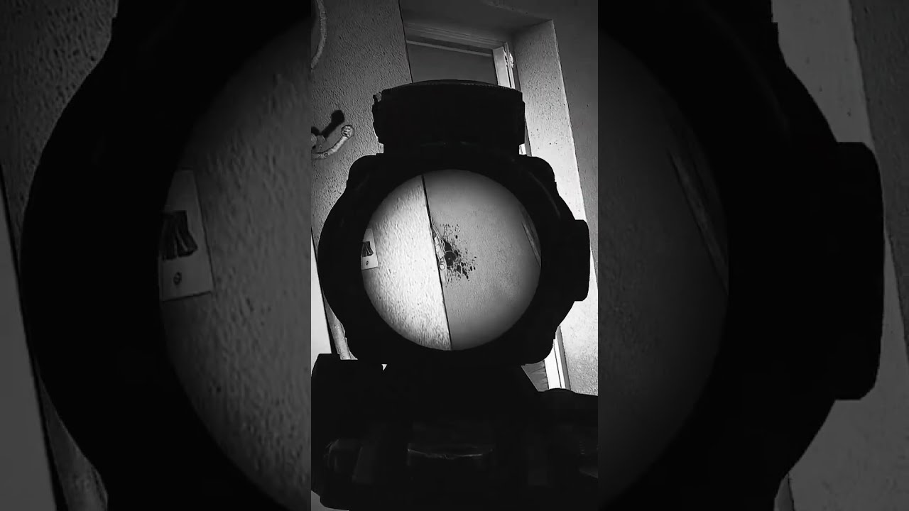 Rogues are the definition of tarkov’ed 😢