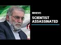 Iranian nuclear scientist mohsen fakhrizadeh assassinated tehran threatening retaliation  abc news